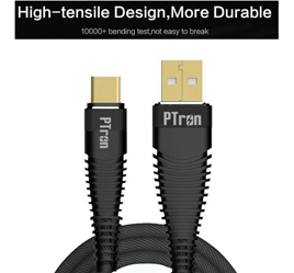 PTron Gravita 2A Golden Charging Data Cable for Type C