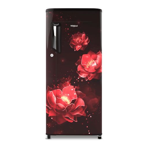 2 door hitachi fridge