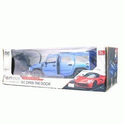 Remote Control Famous Car