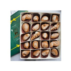 Belgian Seashells Hazelnut flavor Chocolate 20Pcs
