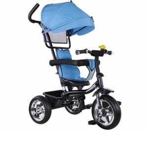 Kids Tricycle With Canopy And Back Handle - for 2 to 6 years baby