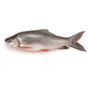 wellness Carp Fish 800Gm