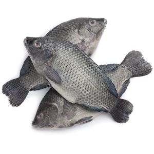 Wellness Organic Tilapia Fish 800Gm