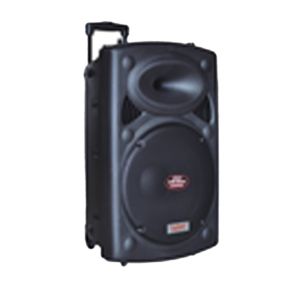 CG 15 Inch Trolley Speaker CGTS15C01