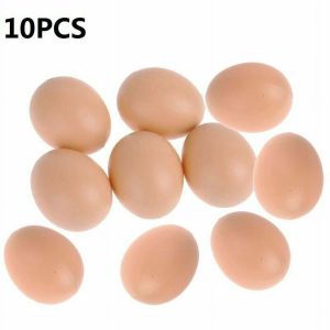 Wellness Organic local chicken Eggs 10Pcs