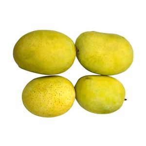 Mango Chinese  1Kg