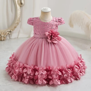 Baby Girls Princess Party Dress, Cute Floral Embroidered Toddler Birthday Gown