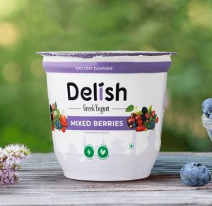 Delish Greek Yogurt Mixed Berries Flavor 125Gm