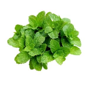 Mint (Pudina) Per 1Mutha