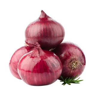 Onion 1Kg