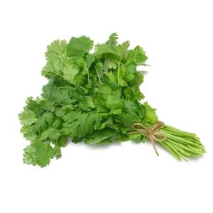 Green Coriander Leaves