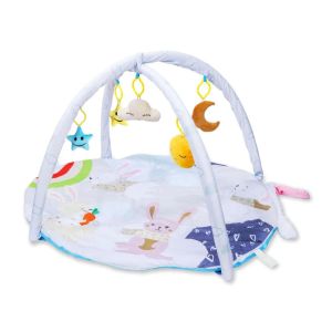 R for Rabbit First Play Rabbit Play Gym-BGFPRM02  (2 M+)