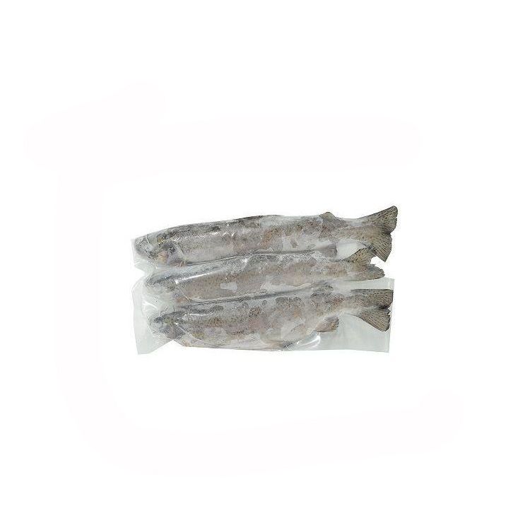 Nina & Hager Frozen Trout Fish  1Kg