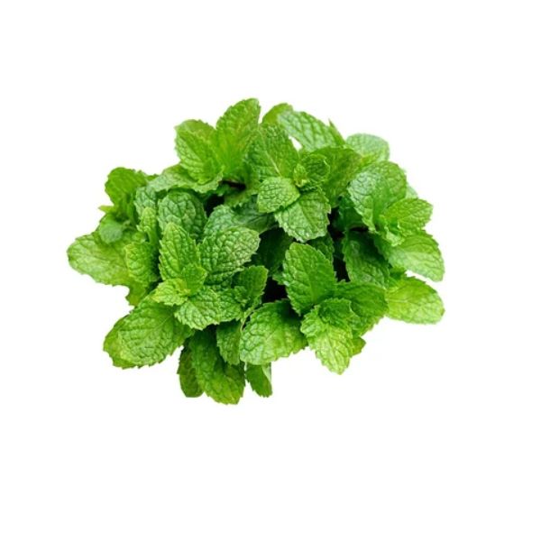 Mint (Pudina) Per 1Mutha