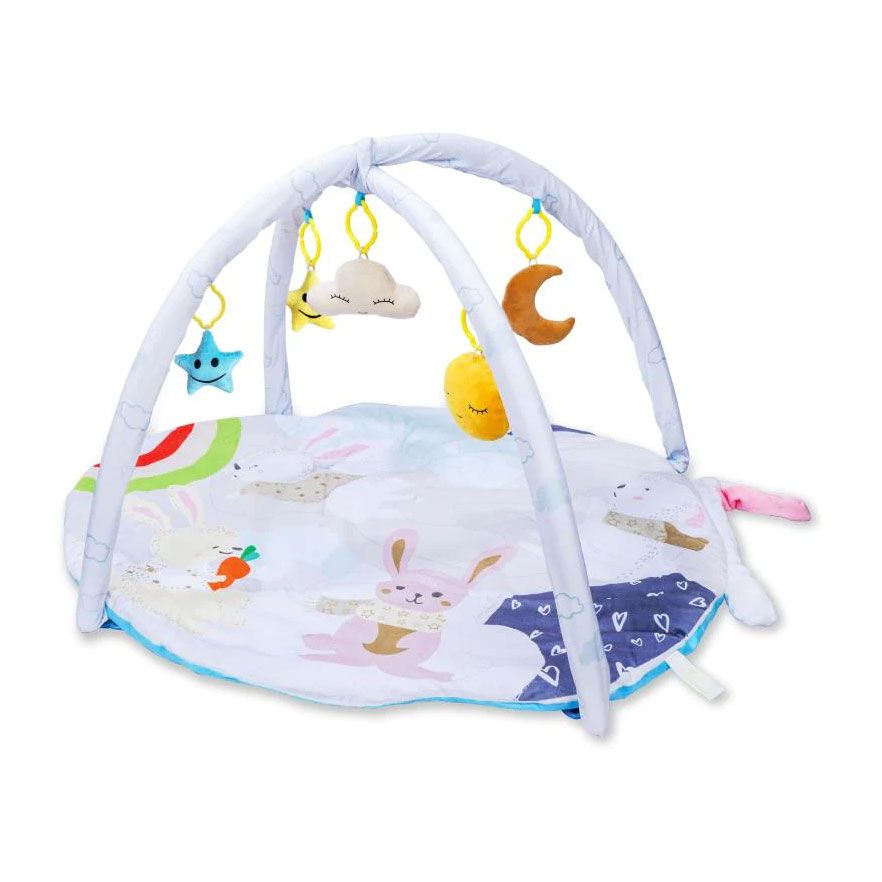 R for Rabbit First Play Rabbit Play Gym-BGFPRM02  (2 M+)