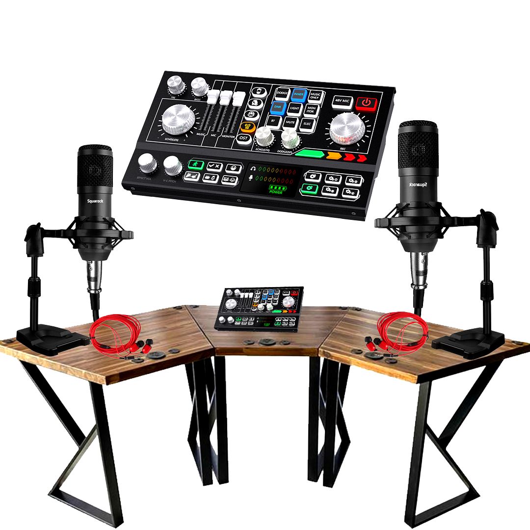 Hayner-Seek P9 2 Mic Set Podcast Bundle