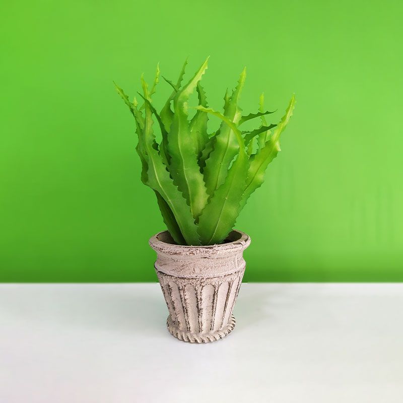 Artificial Aloe Vera Plant with Pot HY24