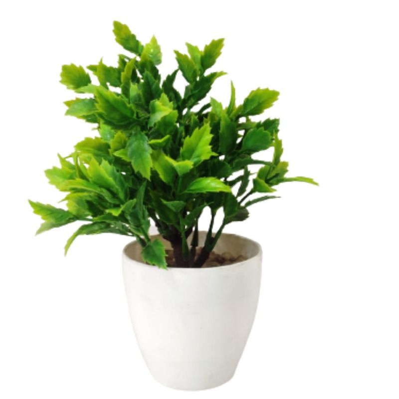 Artificial Leaf Plant with Plastic Pot Y111