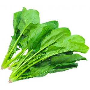 Spinach (पालक साग )1Kg