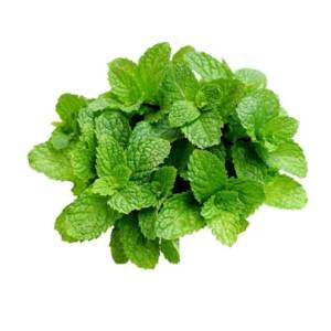 Mint (Pudina) Per 1Mutha