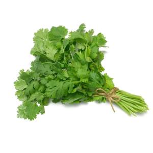 Green Coriander Leaves