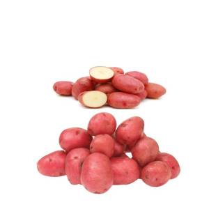 Red Potato 2.5Kg