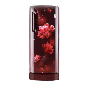 LG Refrigerator 190 Ltr GLD205ASCB.ASCQ