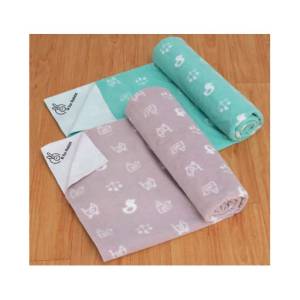 R for Rabbit Dry Nap Pee Premium Protector Sheet L-Pack of 2 Dry Sheet(0-1yrs),  DSDNLGG2