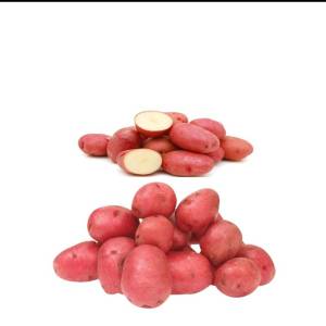 Red Potato 2.5Kg