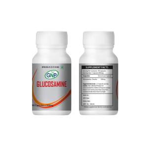 GNP Glucosamine Health Supplement (90 capsules)