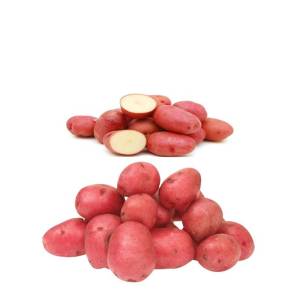 Red Potato 2.5Kg