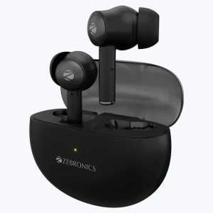Zebronics MIST Wireless Earbuds Black