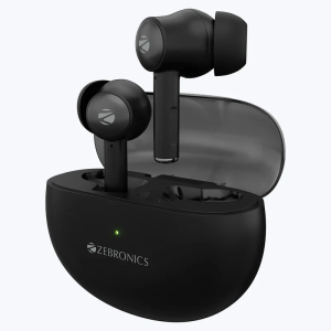 Zebronics MIST Wireless Earbuds Black