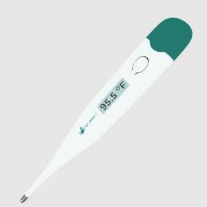 Dr. Seibert Digital Thermometer