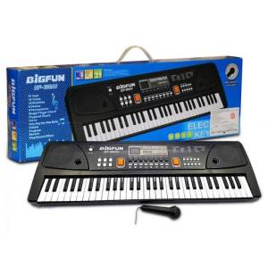 Bigfun Piano Keyboard Toy with 55 Key