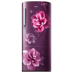 Samsung 230Ltr. Single Door Refrigerator RR24A272ZCR/IM