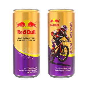 Red Bull New Gen Energy Drink 330Ml