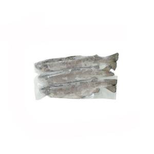 Nina & Hager Frozen Trout Fish  700Gm