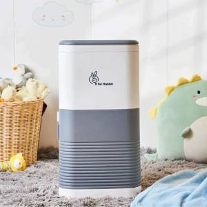 R for Rabbit Hygobin - DHBGW02