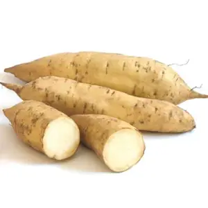 White Sweet Potato 1kg