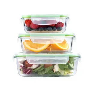 Set of 3 Borosilicate Glass Food Storage Containers