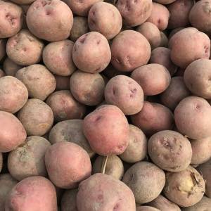 Local Potato 1kg