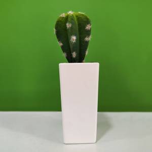 Artificial Cactus with Pot 1958BC