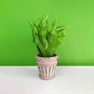 Artificial Aloe Vera Plant with Pot HY24