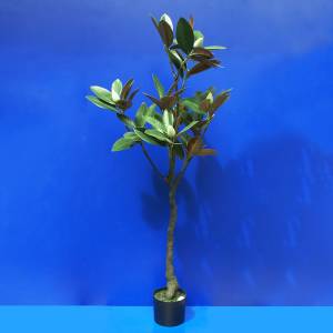 Big Beautiful Plant BW-4-9-10