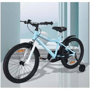 R for Rabbit Vroom 20 Inch Bicycle Lake Blue (7-10yrs), BLVRLB20
