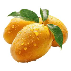 Alphonso Mango 6Pcs