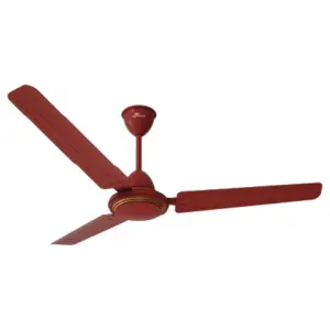 Baltra 48 Inch Breeze Ceiling Fan BF 217