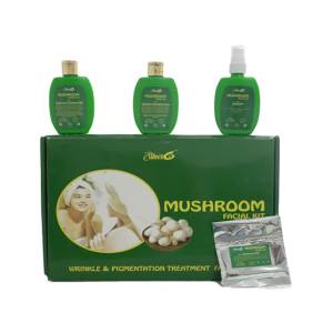 Silver6 Mushroom Facial Kit for Men &  Women