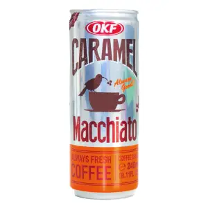 OKF Coffee Drink Caramel Macchiato 240Ml